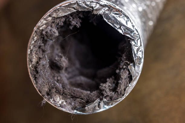 Best Local Air Duct Cleaning Services  in Washington Court House, OH